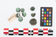 Foto von Bronzeknopf (NHMW-PRAE-023663)
